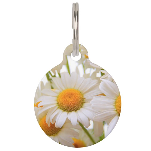 Placa Para Mascotas Bright Summer Daisies (Anverso)