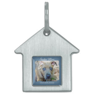 Placa Para Mascotas Brindle Pit Bull con una foto de Shirley Taylor