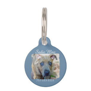 Placa Para Mascotas Brindle Pit Bull con una foto de Shirley Taylor