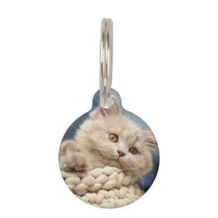 Placa Para Mascotas British shorthair, Gatito, Mascota