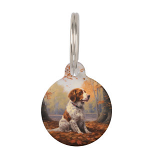 Placa Para Mascotas Brittany Spaniel en otoño inspira caída de hojas