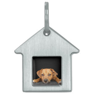 Placa Para Mascotas Buen perro