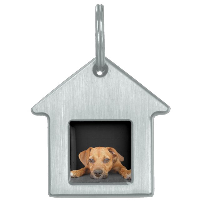 Placa Para Mascotas Buen perro (Frente)