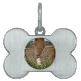 Placa Para Mascotas Buey y flor de primavera Bunny