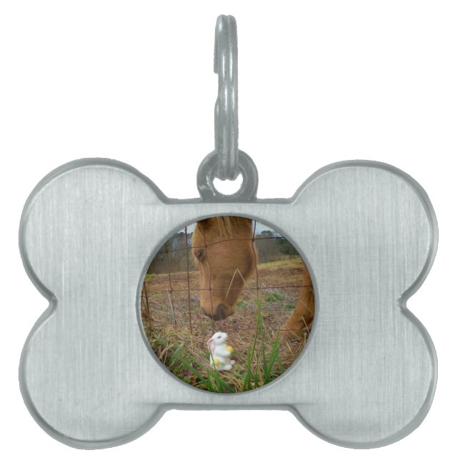 Placa Para Mascotas Buey y flor de primavera Bunny (Frente)