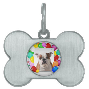 Placa Para Mascotas Bulldog con Globos Coloridos Tema de Cumpleaños