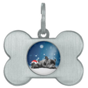 Placa Para Mascotas Bulldog francés navidades Cachorros nieve sombrero