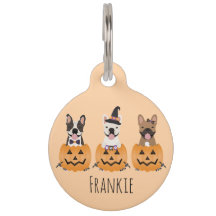 Bulldogs Franceses Truco o Regalo Calabaza