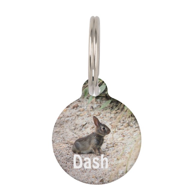 Placa Para Mascotas Bunny (Anverso)