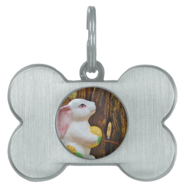 Placa Para Mascotas Bunny de Pascua (Frente)