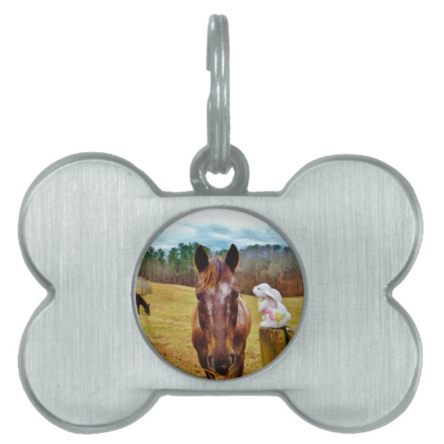 Placa Para Mascotas Bunny de Pascua y caballo marrón (Frente)