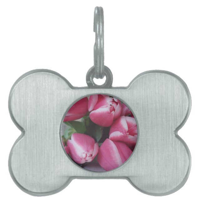 Placa Para Mascotas Buquete de primavera floral de tulipanes rosados,  (Frente)