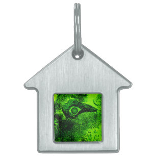 Placa Para Mascotas buscando verde