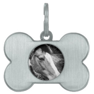 Placa Para Mascotas Caballo