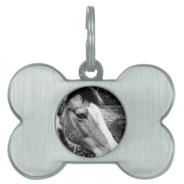 Placa Para Mascotas Caballo (Frente)