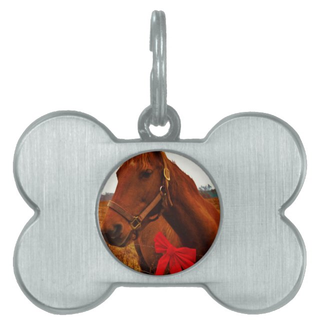 Placa Para Mascotas Caballo con arco rojo (Frente)