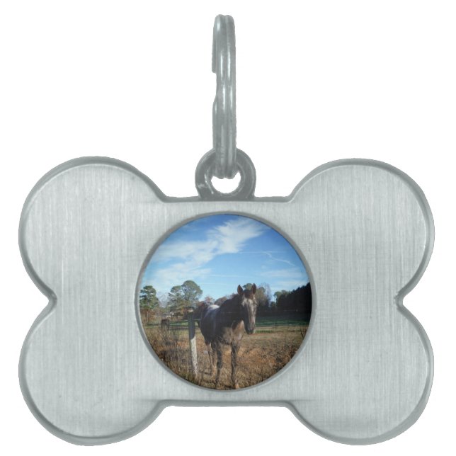 Placa Para Mascotas Caballo marrón de Coco y Crema (Frente)