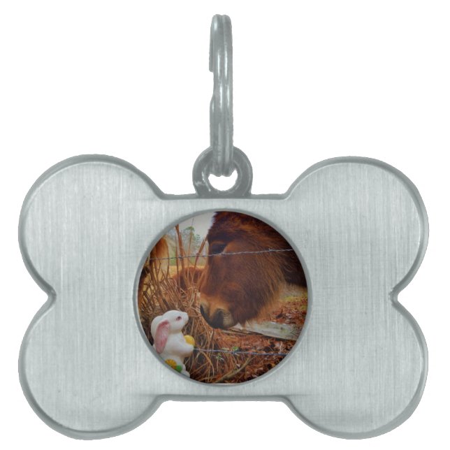 Placa Para Mascotas Caballo marrón en miniatura y conejo de Pascua (Frente)