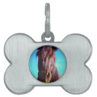 Caballo púrpura con boca verde