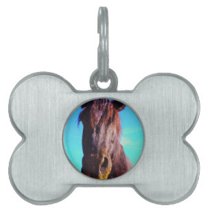 Placa Para Mascotas Caballo púrpura con boca verde