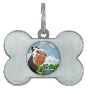 Placa Para Mascotas Caballo sonriente