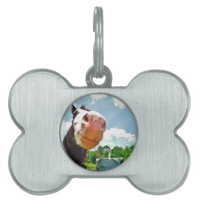 Placa Para Mascotas Caballo sonriente (Frente)