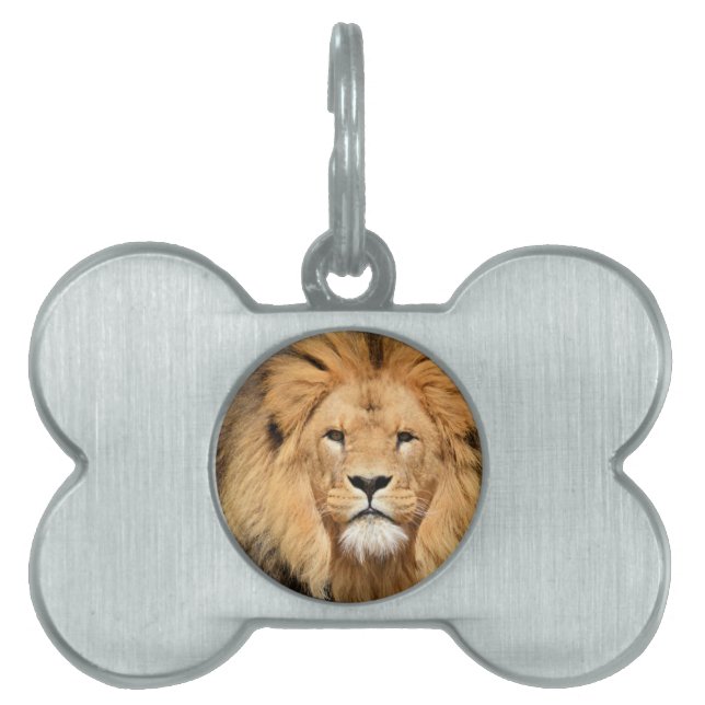 Placa Para Mascotas Cabeza de león (Frente)