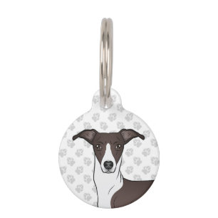 Placa Para Mascotas Cabeza de perro galgo italiano blanco y foca