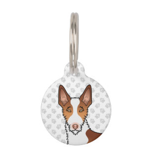 Placa Para Mascotas Cabeza de perro Ibizan Hound de pelo duro rojo y b