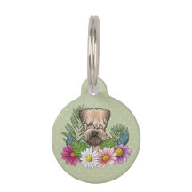 Cabeza de Soft-Coated Wheaten Terrier Flores Color