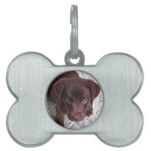 Placa Para Mascotas Cachorro