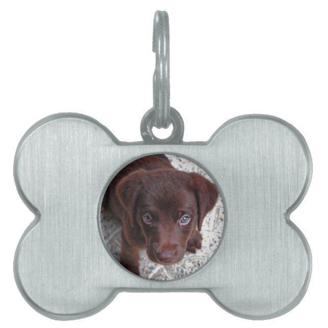 Placa Para Mascotas Cachorro (Frente)