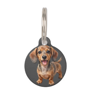 Placa Para Mascotas Cachorro feliz de raza Dachshund