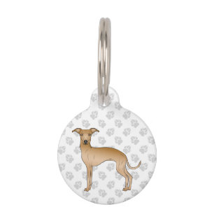 Placa Para Mascotas Cachorro Italiano de Galgo Cervato Dibujo Animado