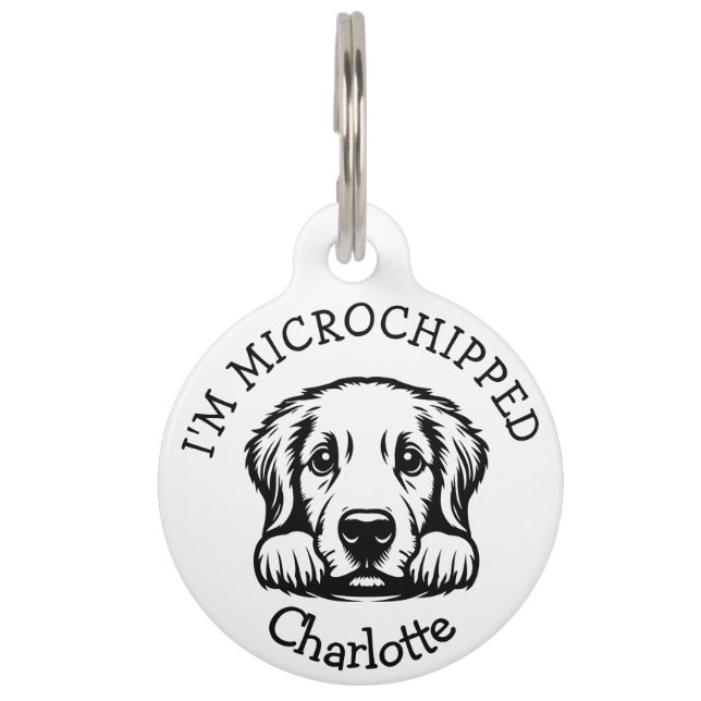 Placa Para Mascotas Cachorro Labrador Curioso Personalizado (Anverso)