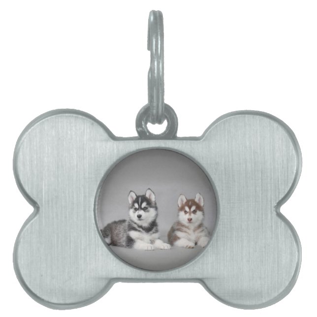 Placa Para Mascotas Cachorros caseros siberianos (Frente)