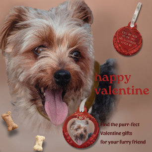 Placa Para Mascotas Cadena de fotos rojas de San Valentín
