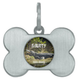 Placa Para Mascotas Caimán Americano Descansando Florida Personalizar