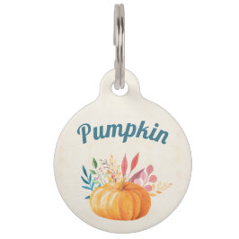 Placa Para Mascotas Calabaza acuarela naranja