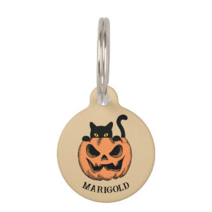 Placa Para Mascotas Calabaza de Halloween y gato negro personalizados