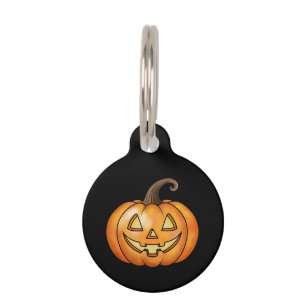 Placa Para Mascotas Calabaza Feliz Y Cuidada De Personalizados En Hall