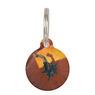 Placa Para Mascotas Calabaza naranja grande