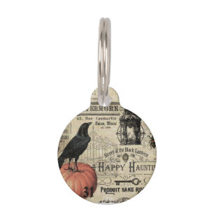 Placa Para Mascotas calabaza y cuervo modernos de Halloween del
