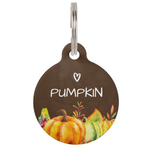 Placa Para Mascotas Calabazas de cosecha, hojas y follaje