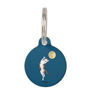 Placa Para Mascotas Calico Cat Moon Dancing