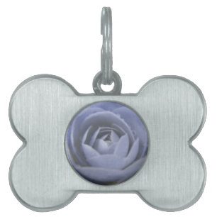 Placa Para Mascotas Camellia Frozen Beauty Pet Tag