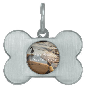 Placa Para Mascotas Camina de sol con etiqueta de identificación de ma