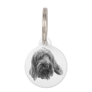 Placa Para Mascotas Caminante de campo Spinone