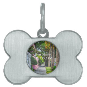 Placa Para Mascotas Caminar por la fila del arcoiris