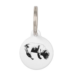 Placa Para Mascotas Camino Oscuro, Figura Nominada